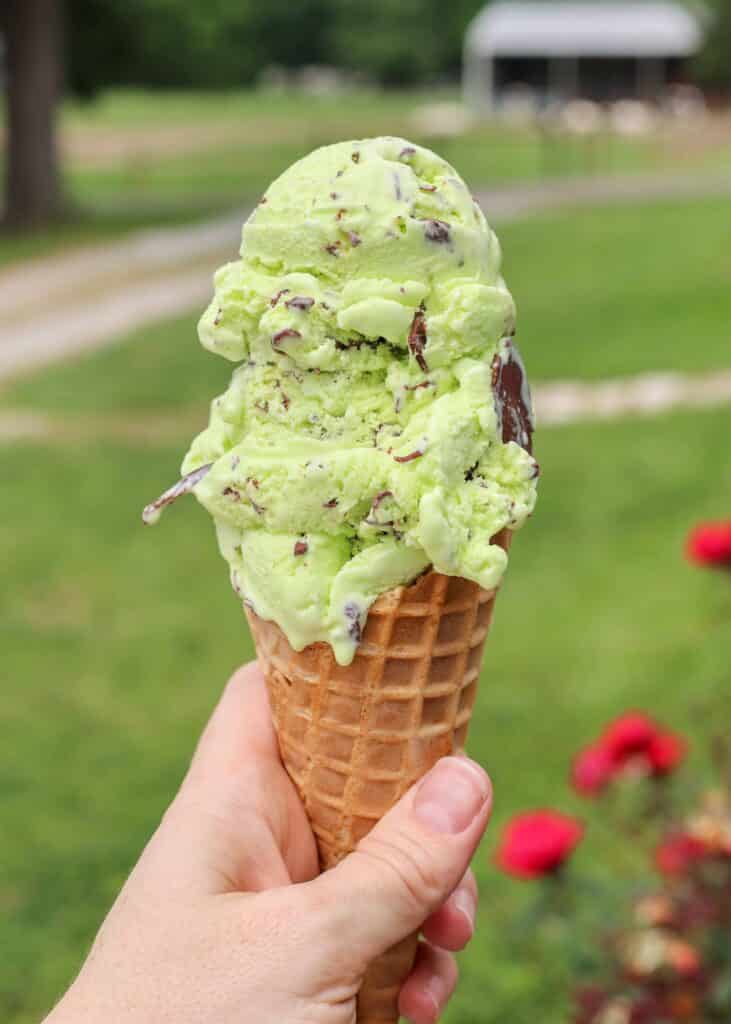 Vertical shot of hand holding mint chocolate chip ice cream in grassy front yard