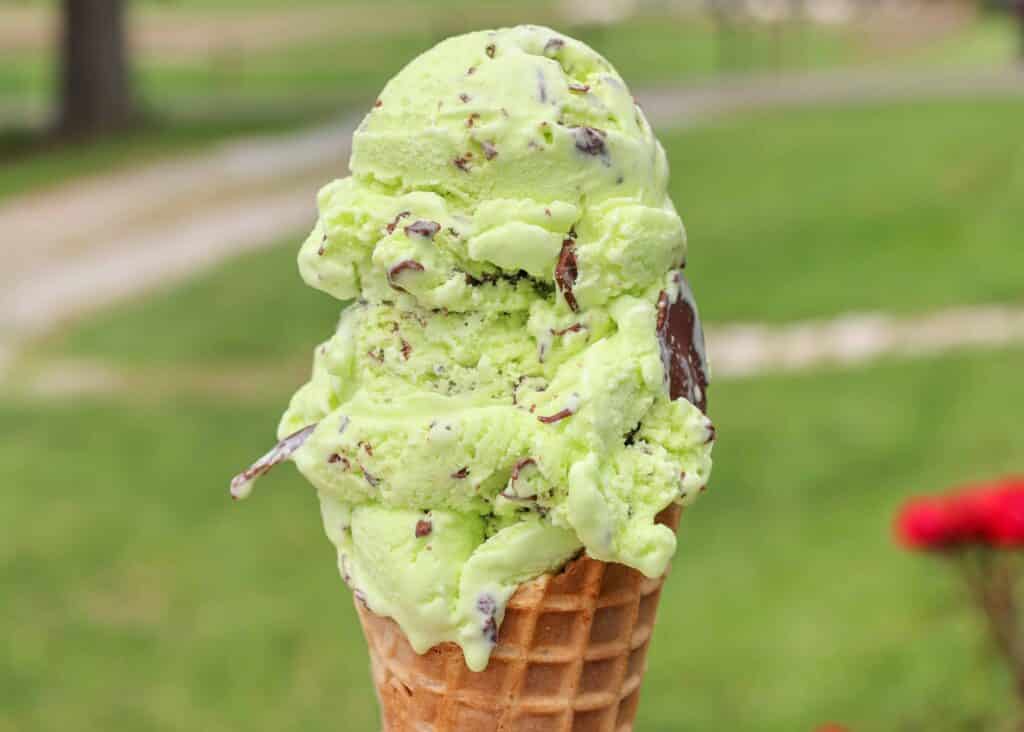 Mint chocolate chip ice cream cone in an outdoors setting