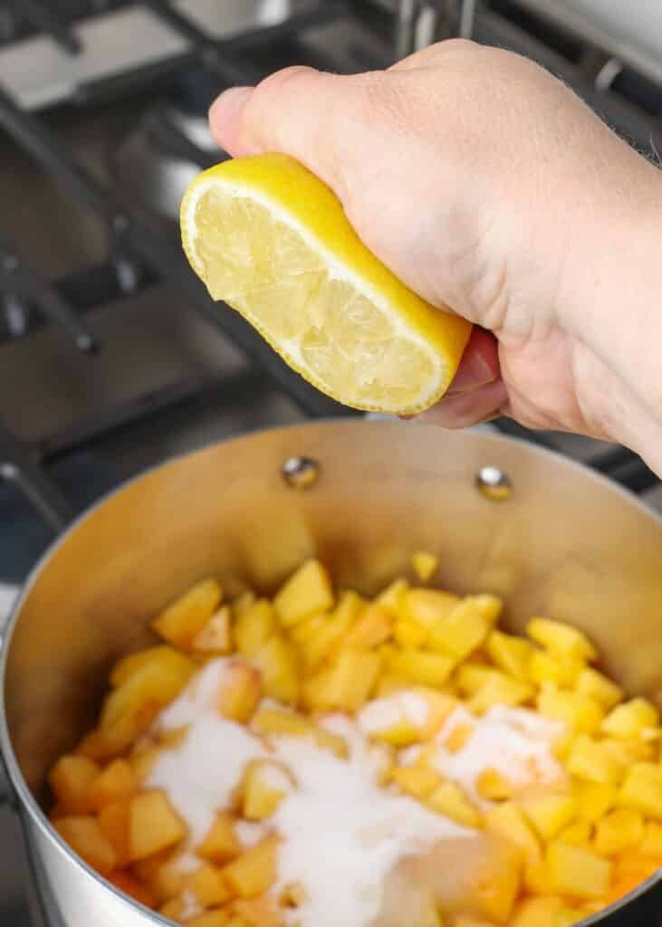 Chopped and diced peaches with sugar and lemon juice in a stainless steel skillet