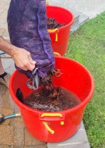 LD Mallard Crawfish Boil