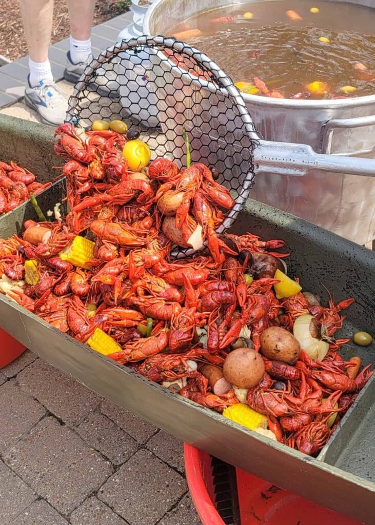 crawfish boil being transferred to serving boat