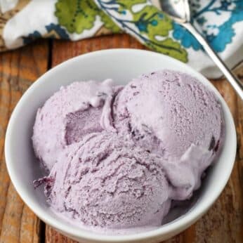 gelato made with blueberries in white bowl