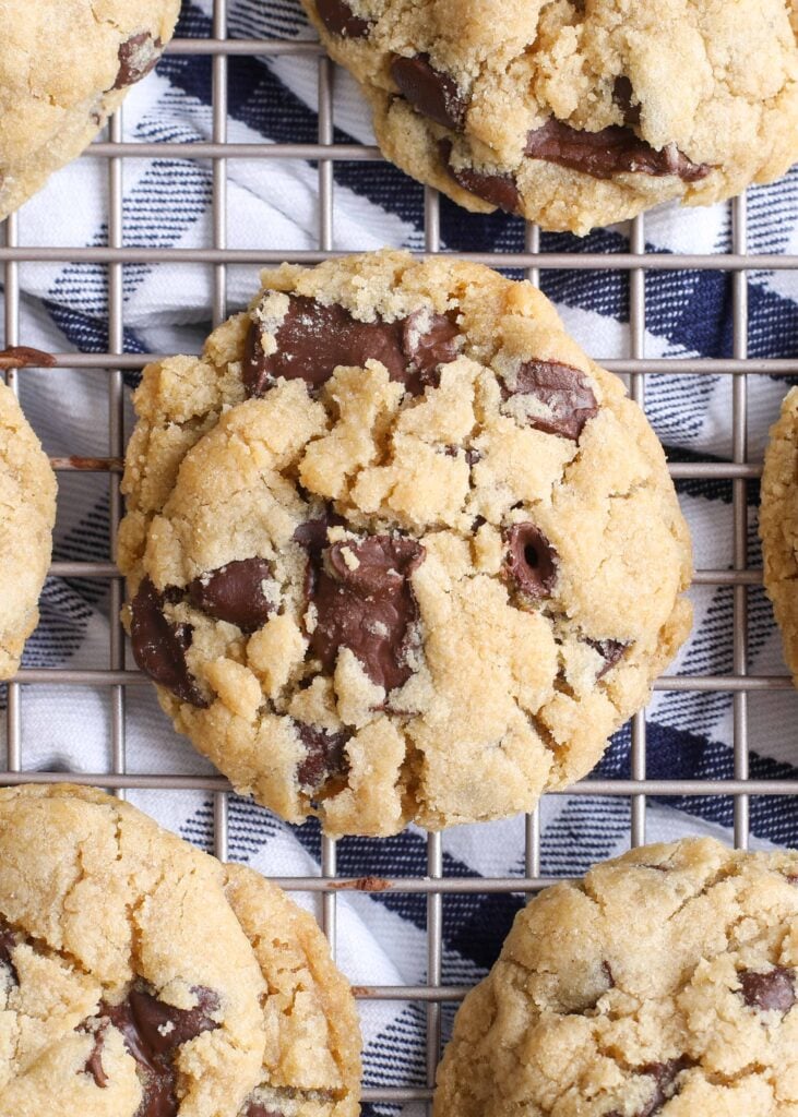 Vegan Chocolate Chip Cookie Recipe