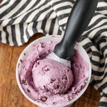 container holding a scoop of berry ice cream