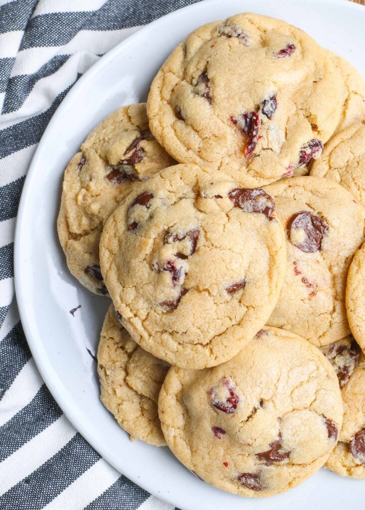 Soft and Chewy Cranberry Chocolate Tweedle Cookies 