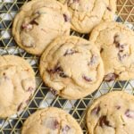 Soft and Chewy Cranberry Chocolate Tweedle Cookies