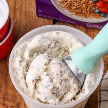 ice cream scoop holding grape nuts ice cream