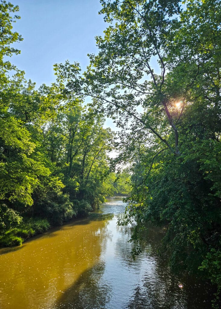 The Little Things Newsletter #473 – Life, laughter, and lots of great food!