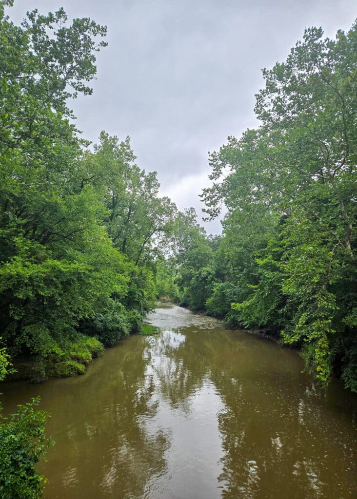 The Little Things Newsletter #480 – Life, laughter, and lots of great food!