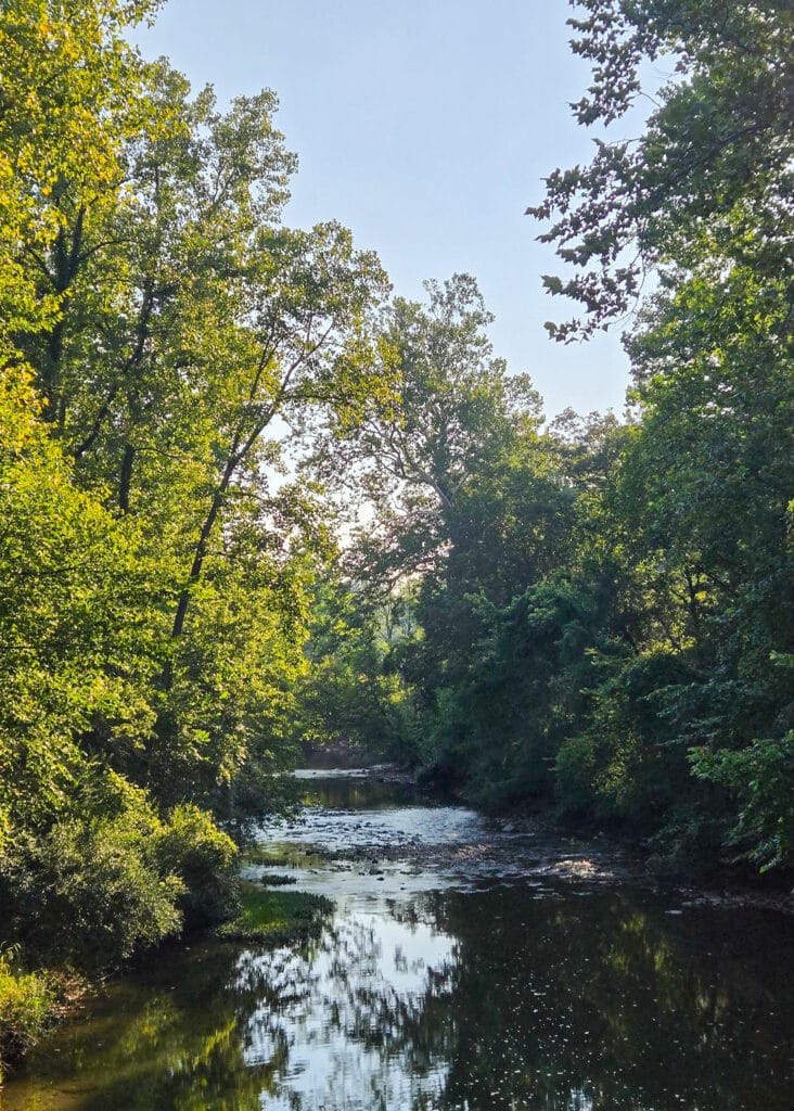 The Little Things Newsletter #483 – Life, laughter, and lots of great food!