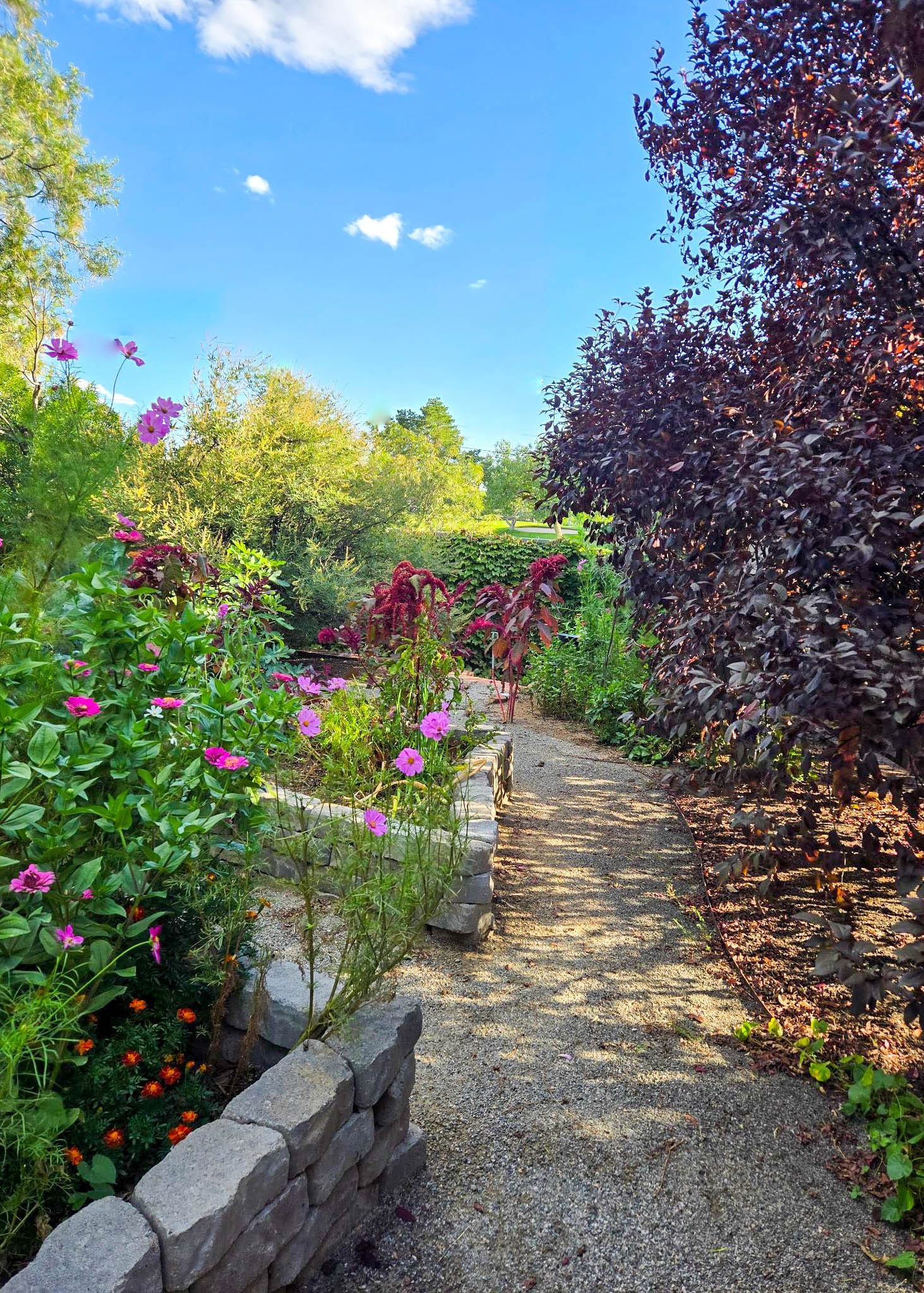 The Little Things Newsletter #486 – Life, laughter, and lots of great food!