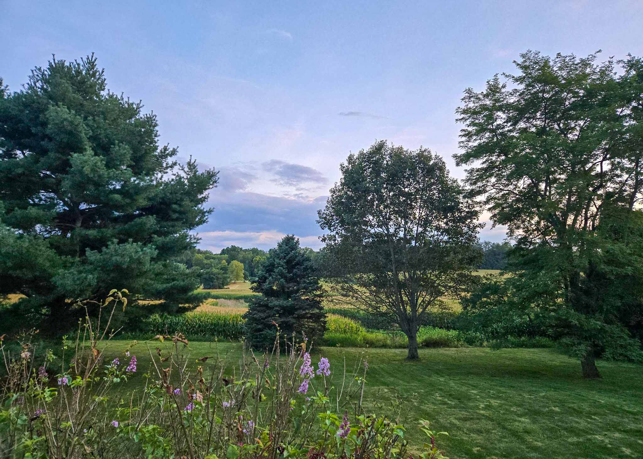 The Little Things Newsletter #485 – Life, laughter, and lots of great food!