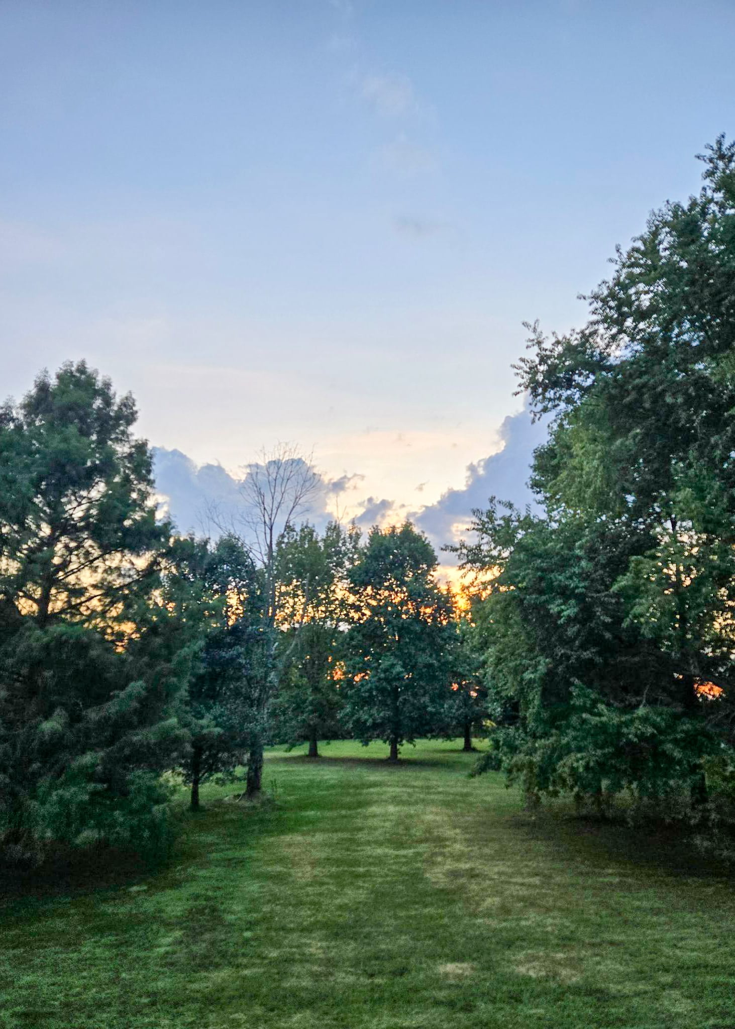 The Little Things Newsletter #488 – Life, laughter, and lots of great food!