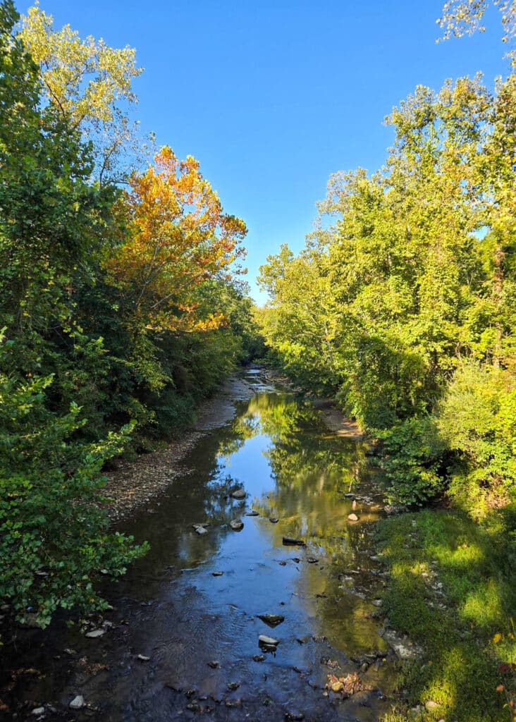 The Little Things Newsletter #487 – Life, laughter, and lots of great food!