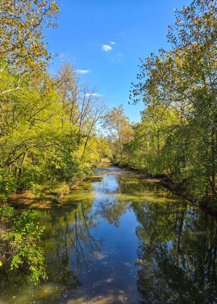 The Little Things Newsletter #490 – Life, laughter, and lots of great food!