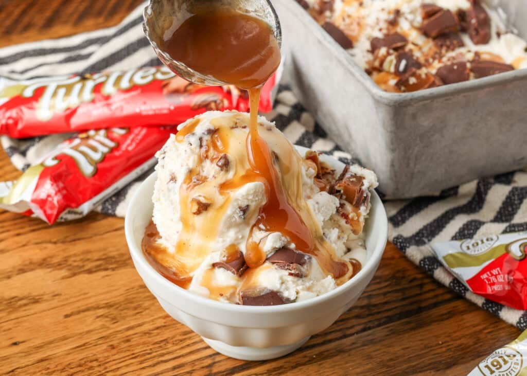 Turtle Ice Cream