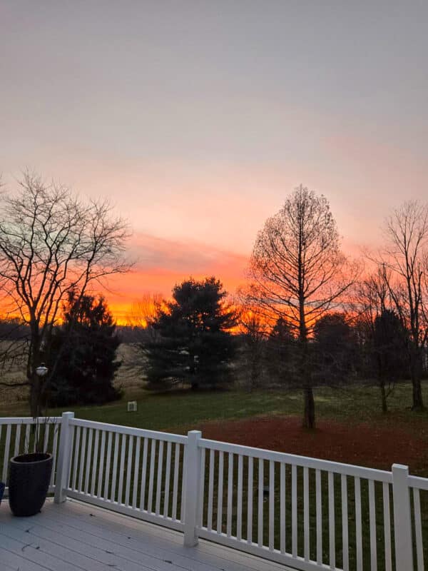Whipped Cream Frosting Barefeet In The Kitchen