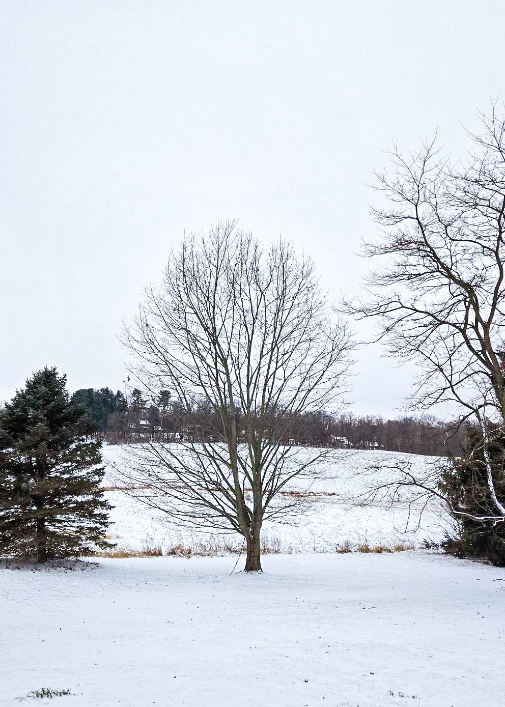 The Little Things Newsletter #502 – Life, laughter, and lots of great food!