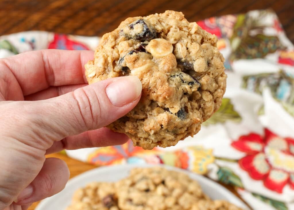 hand holding oatmeal cranberry chocolate chip cookie