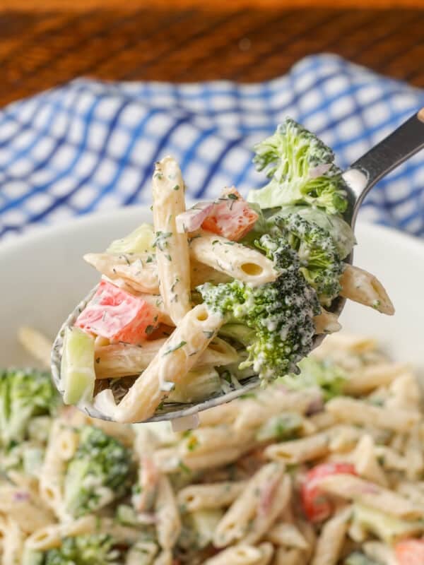 spoonful of vegetables and pasta salad