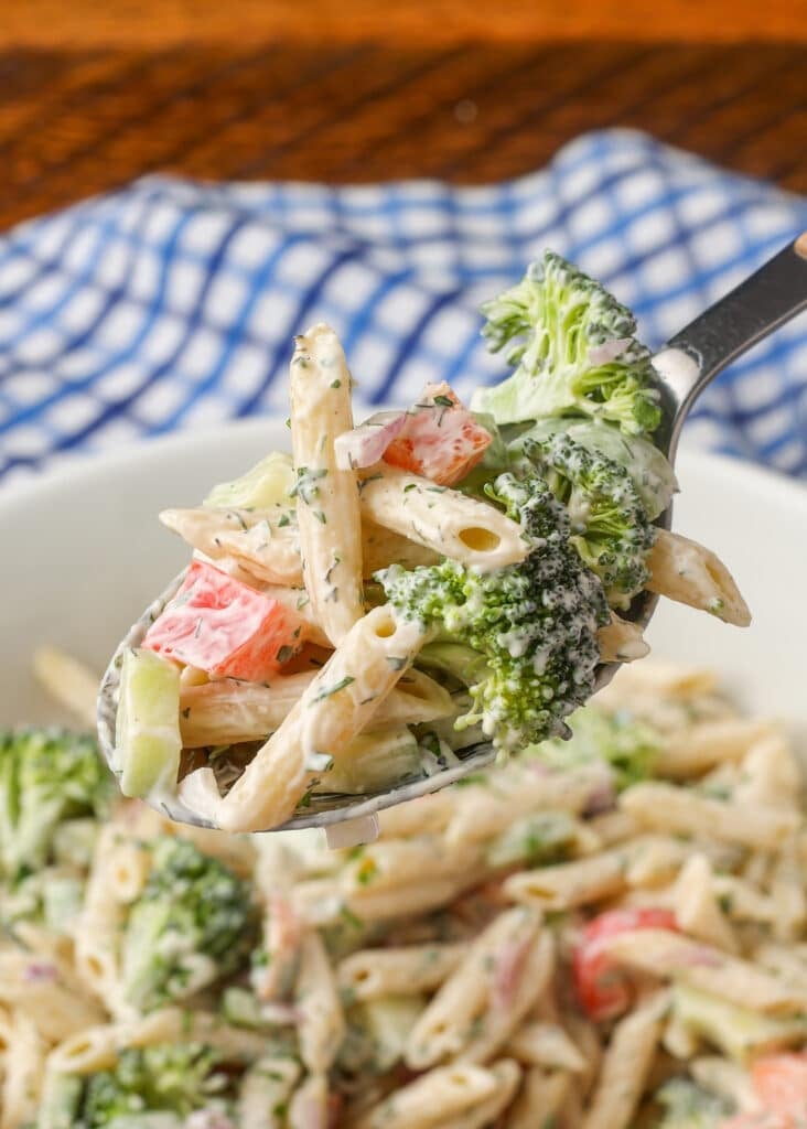 spoonful of vegetables and pasta salad