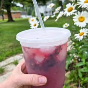 hand holding a deli container drink with an alcohol free cocktail outdoors next to flowers